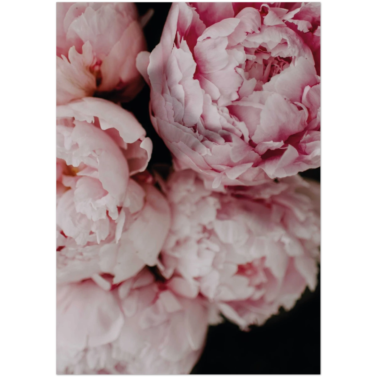 c401a261-f190-491a-a167-997b3a50635c